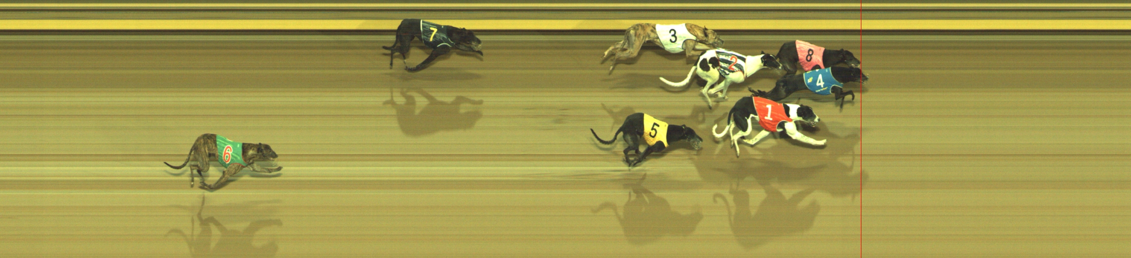 Photo finish for Geelong Race 13
