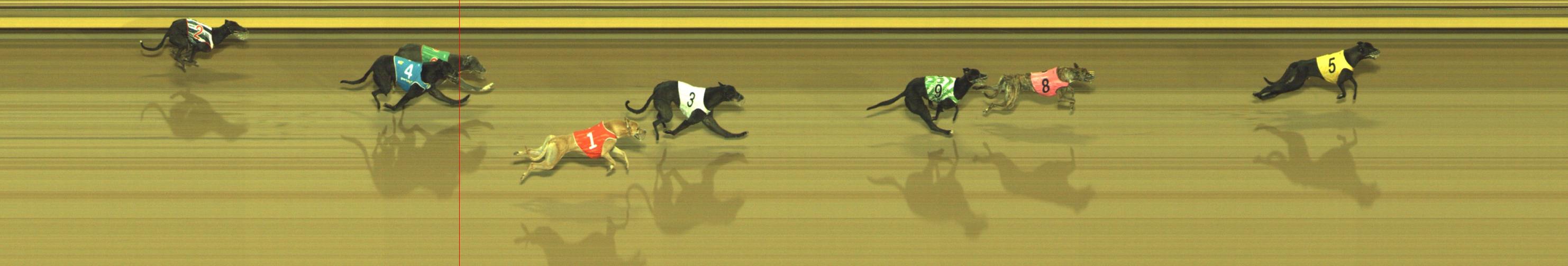 Photo finish for Geelong Race 1