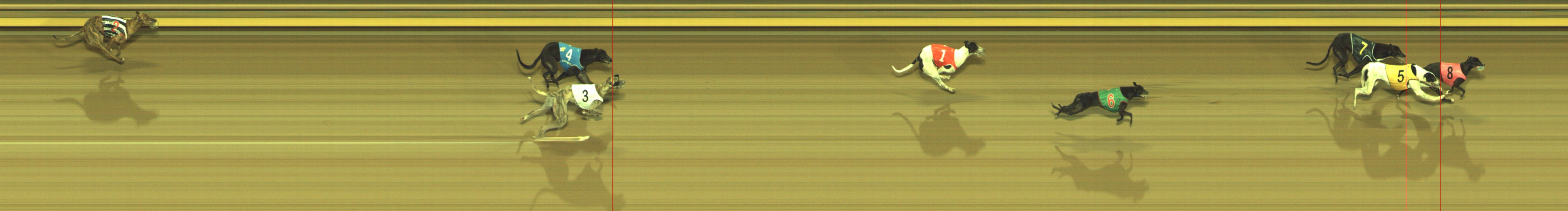 Photo finish for Geelong Race 2