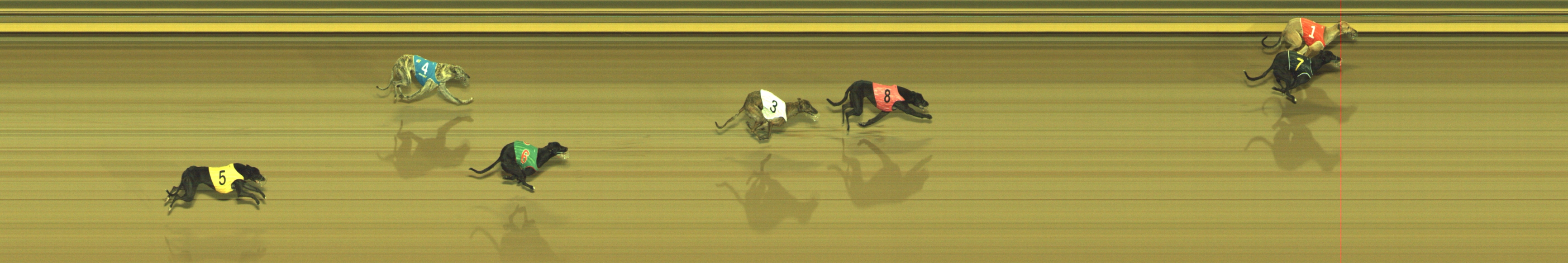Photo finish for Geelong Race 3