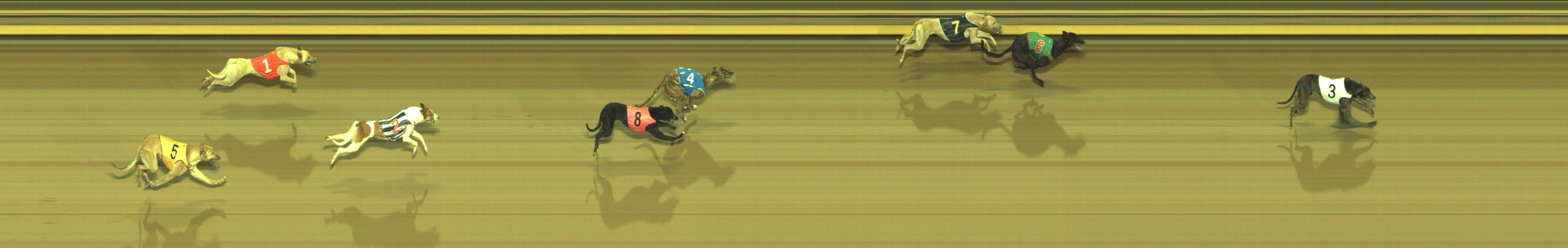 Photo finish for Geelong Race 4