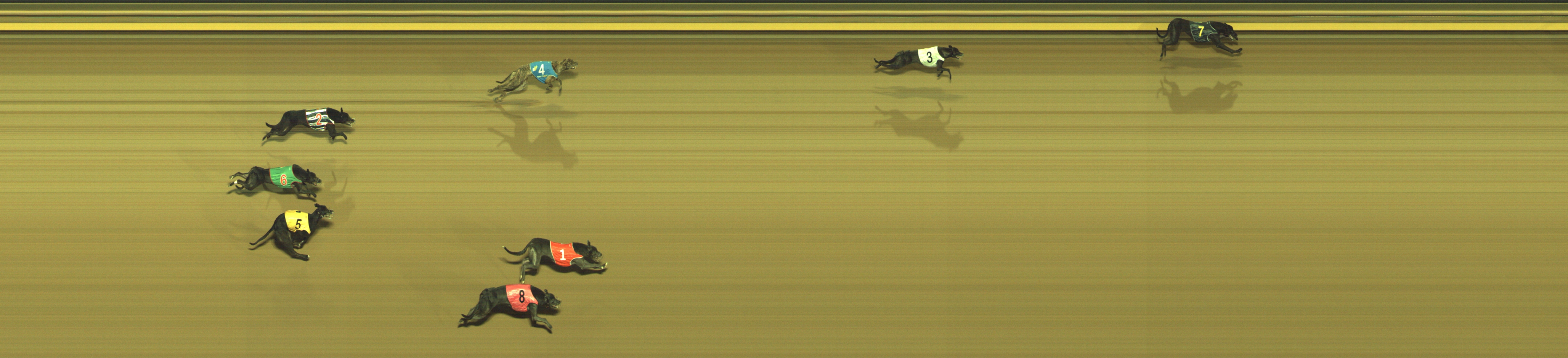 Photo finish for Geelong Race 5