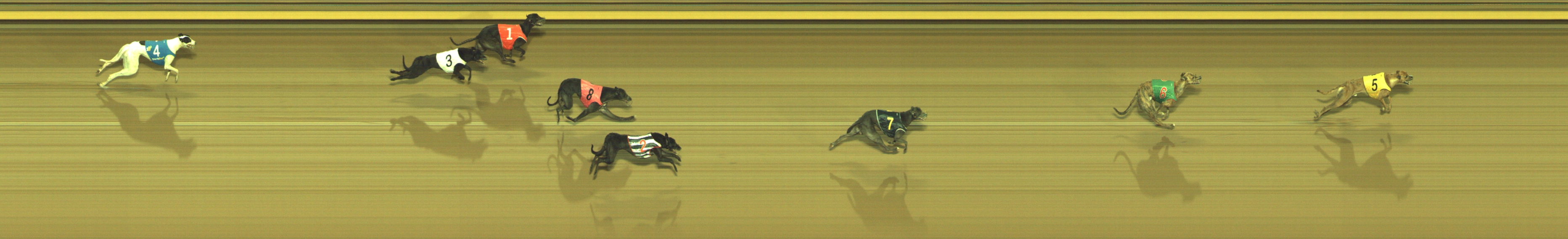 Photo finish for Geelong Race 6