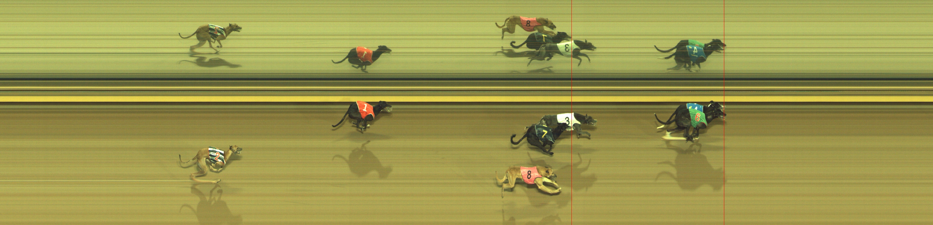 Photo finish for Geelong Race 7