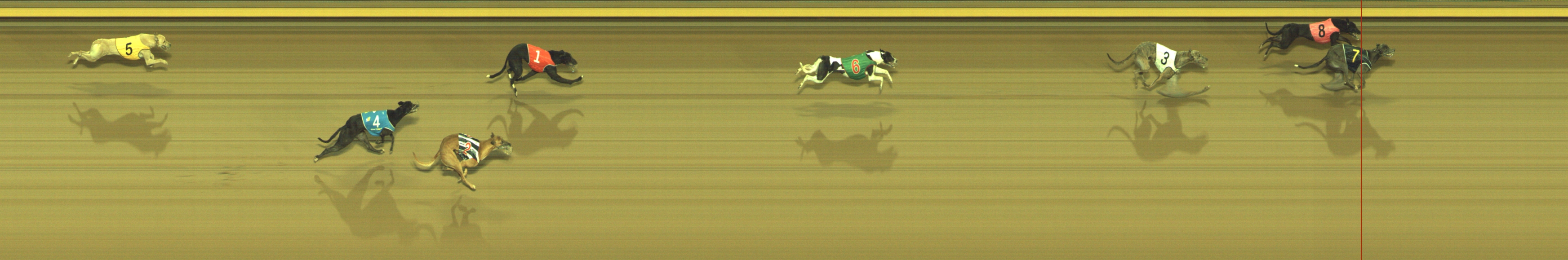 Photo finish for Geelong Race 8