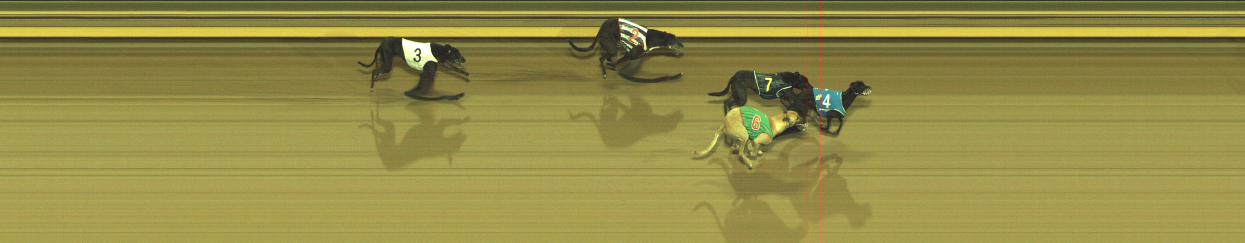Photo finish for Geelong Race 9