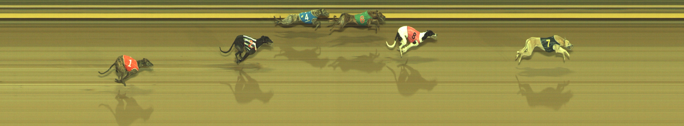 Photo finish for Geelong Race 10