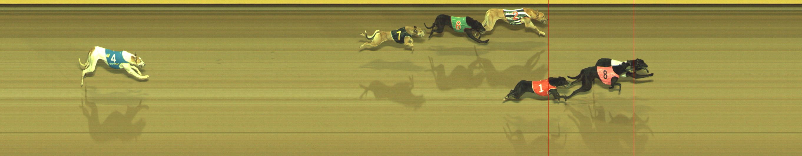 Photo finish for Geelong Race 11
