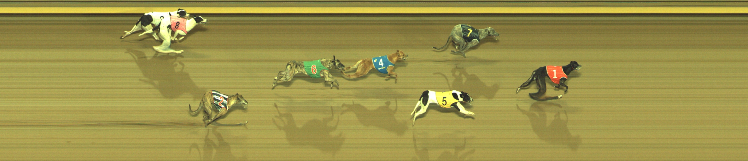 Photo finish for Geelong Race 12
