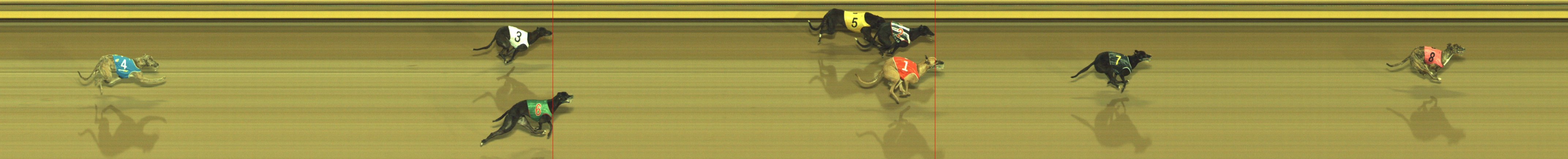 Photo finish for Geelong Race 1