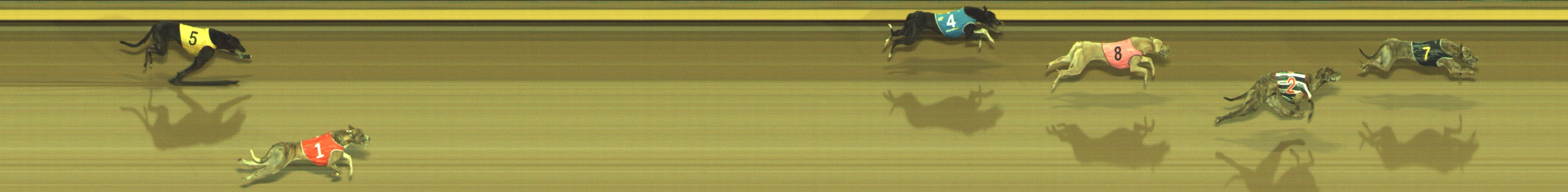 Photo finish for Geelong Race 3