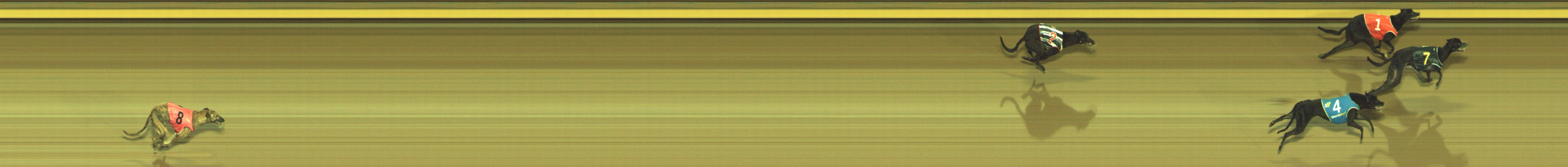 Photo finish for Geelong Race 4