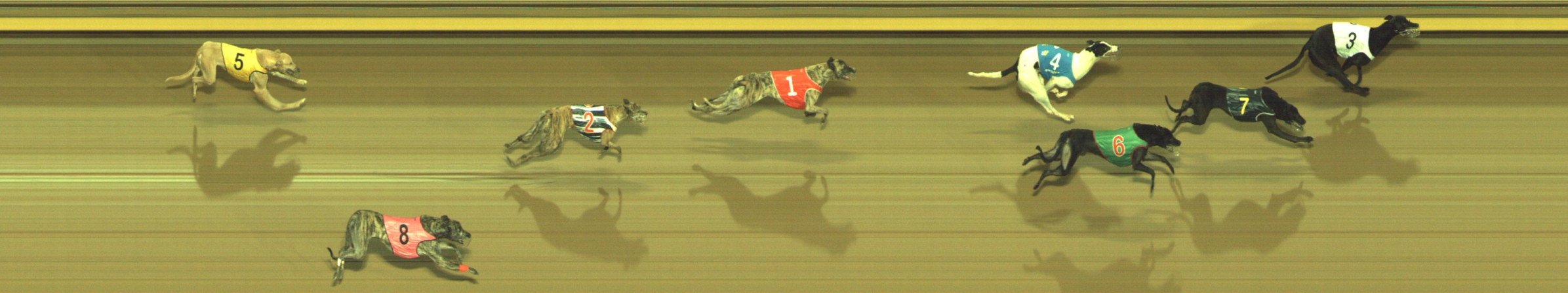 Photo finish for Geelong Race 5