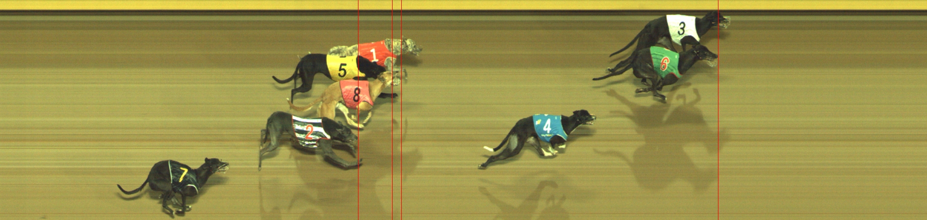 Photo finish for Geelong Race 6