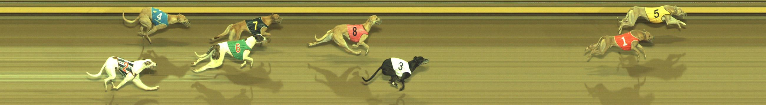 Photo finish for Geelong Race 7