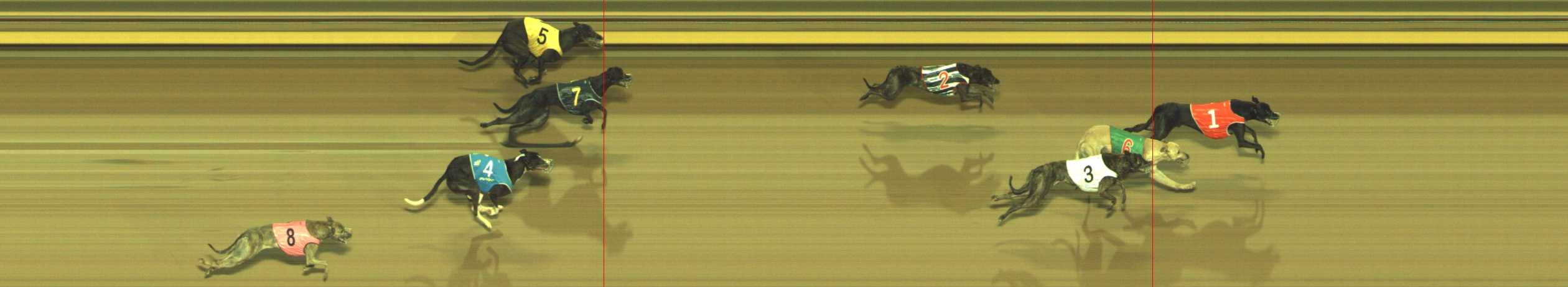 Photo finish for Geelong Race 8
