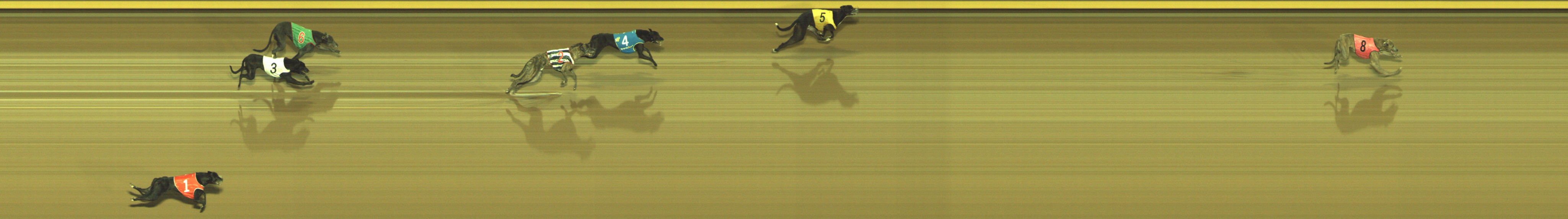Photo finish for Geelong Race 9