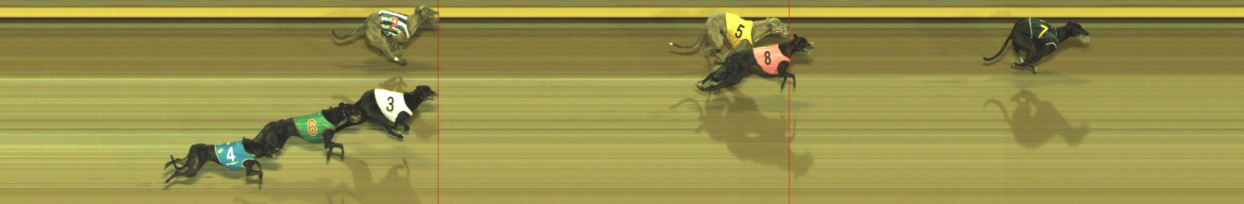 Photo finish for Geelong Race 10