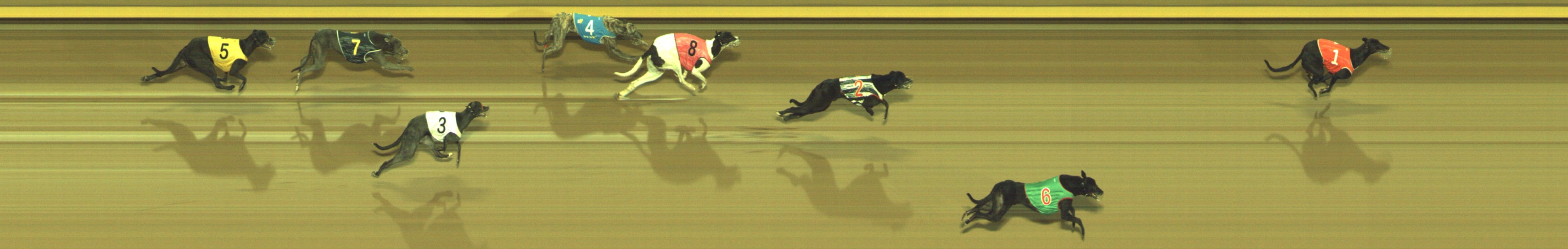 Photo finish for Geelong Race 11