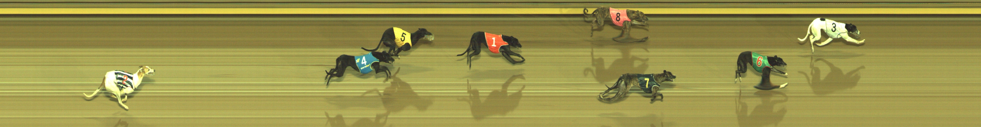 Photo finish for Geelong Race 12
