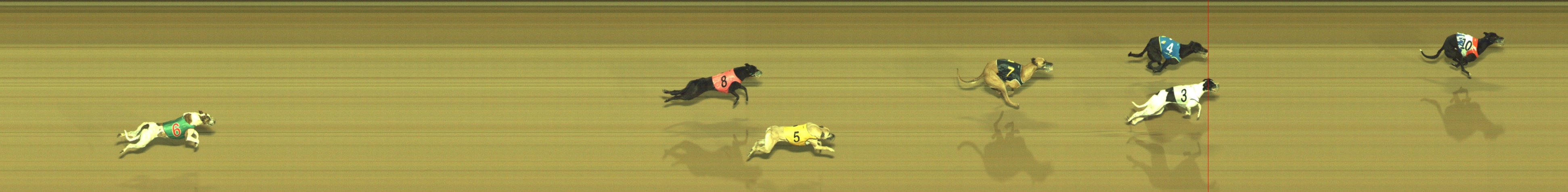 Photo finish for Geelong Race 1