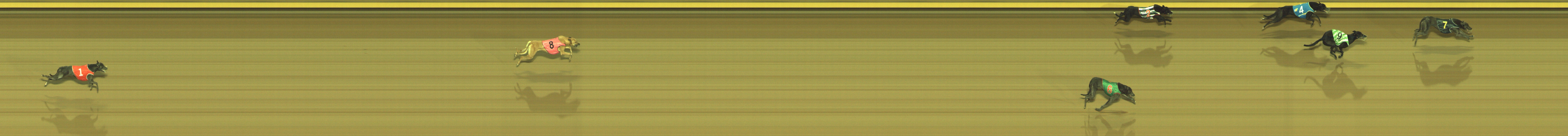 Photo finish for Geelong Race 2