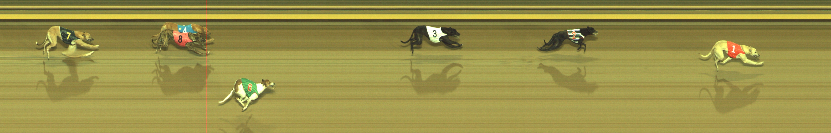 Photo finish for Geelong Race 3