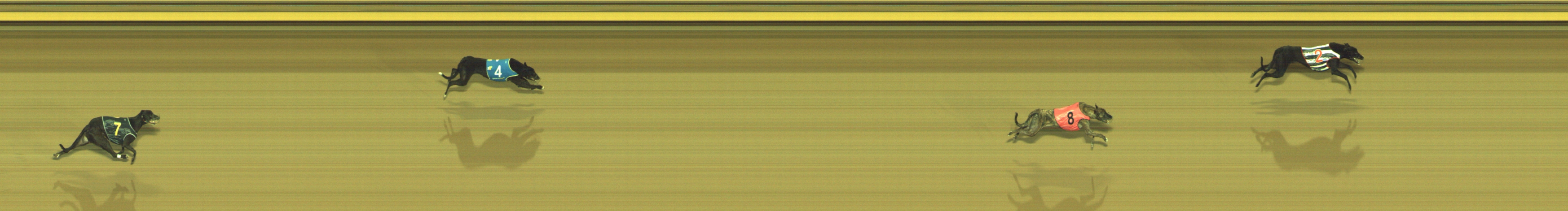 Photo finish for Geelong Race 4