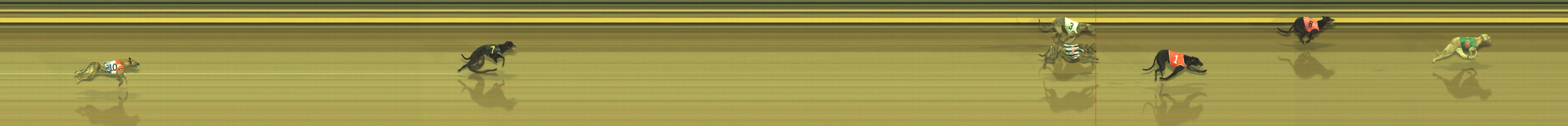 Photo finish for Geelong Race 5