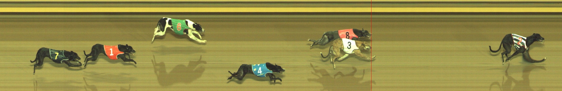 Photo finish for Geelong Race 6