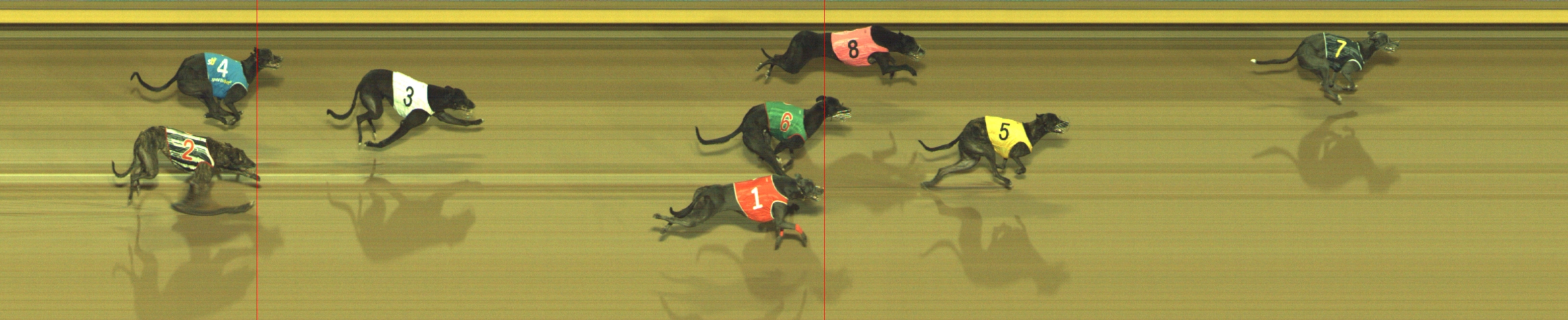 Photo finish for Geelong Race 7