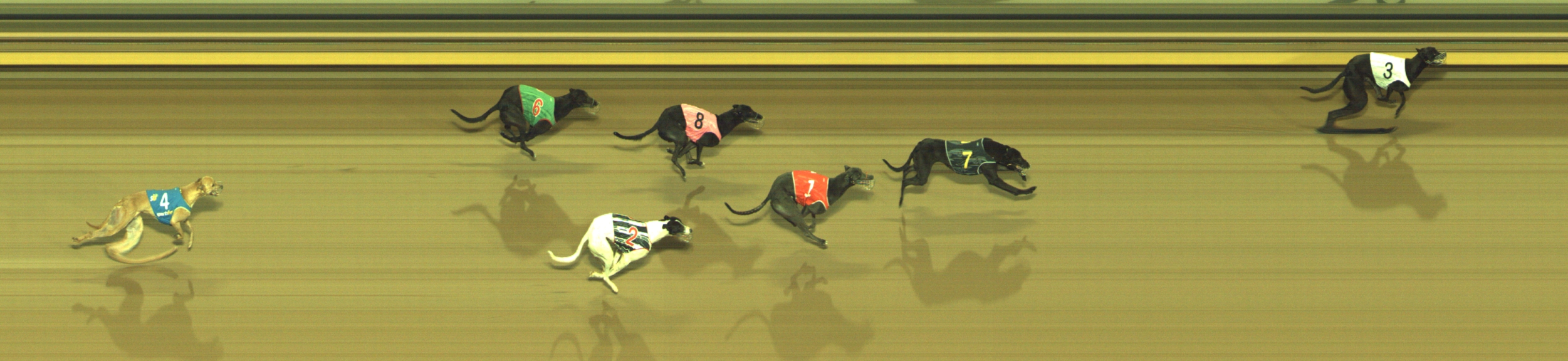 Photo finish for Geelong Race 8