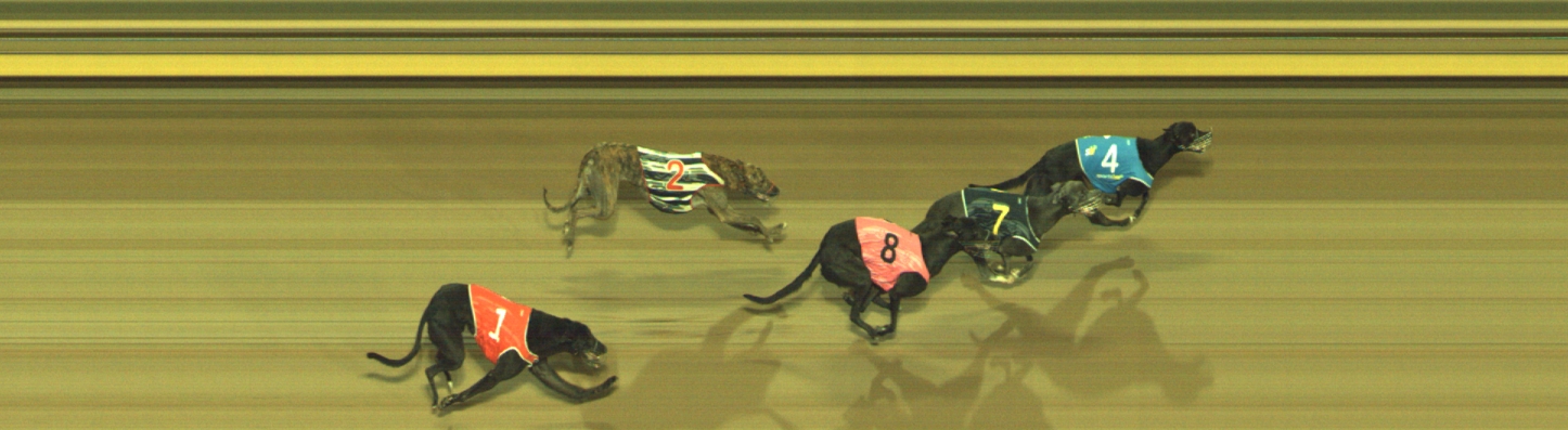 Photo finish for Geelong Race 9