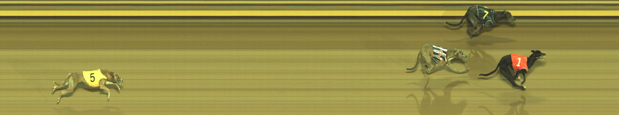 Photo finish for Geelong Race 10