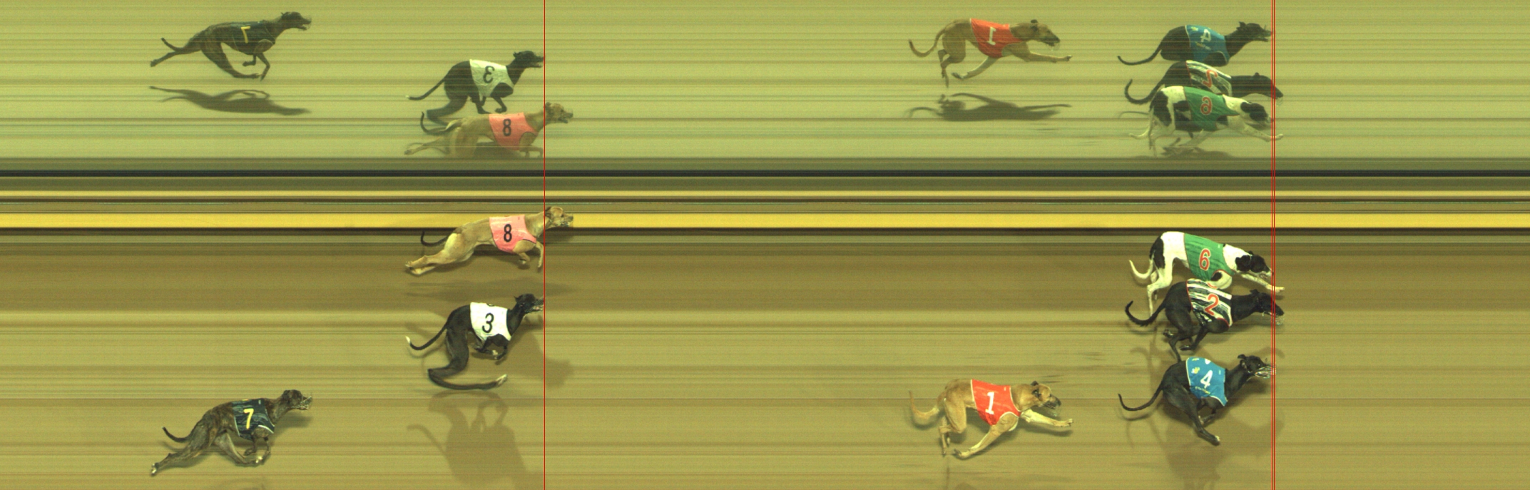Photo finish for Geelong Race 11