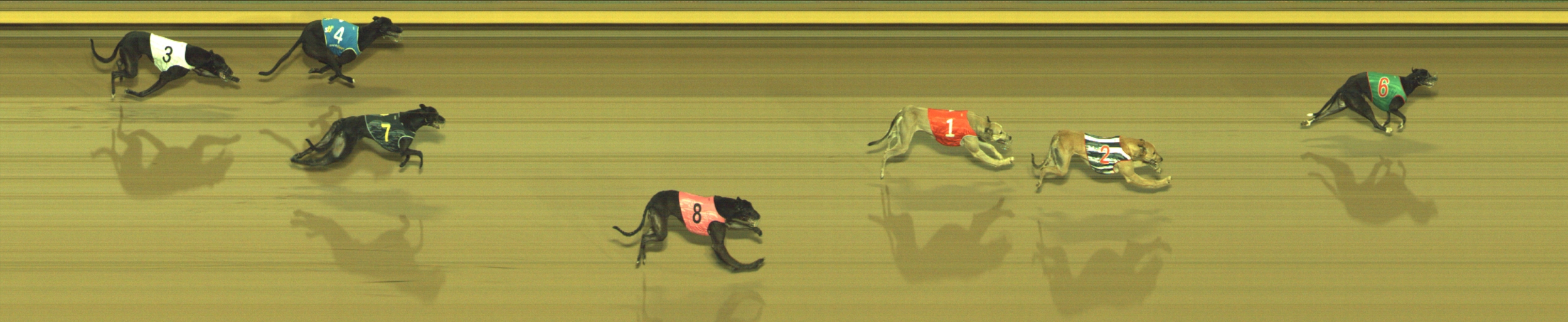 Photo finish for Geelong Race 12