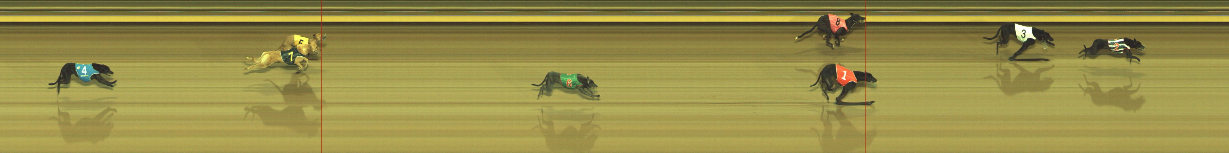 Photo finish for Geelong Race 1