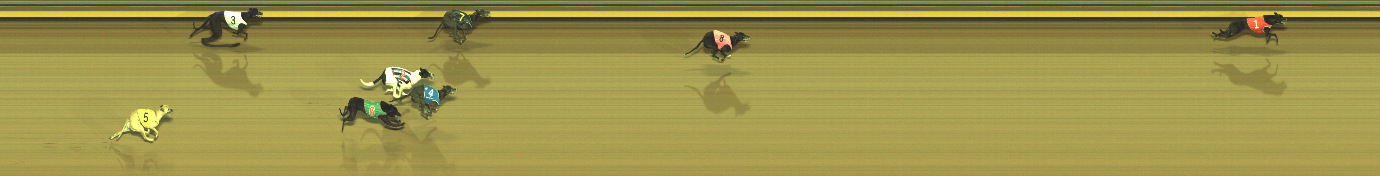 Photo finish for Geelong Race 2