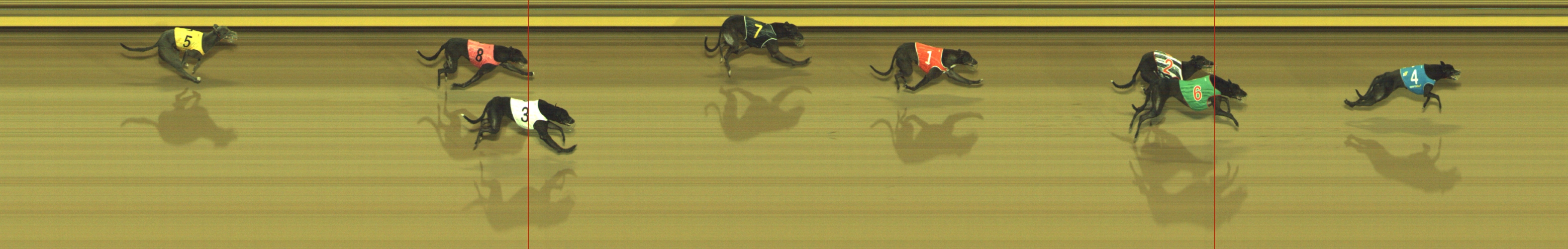 Photo finish for Geelong Race 3