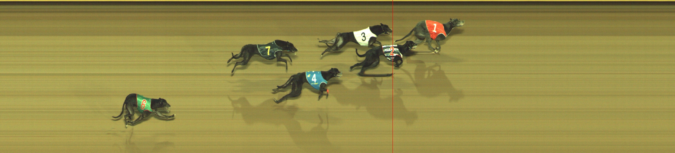 Photo finish for Geelong Race 4
