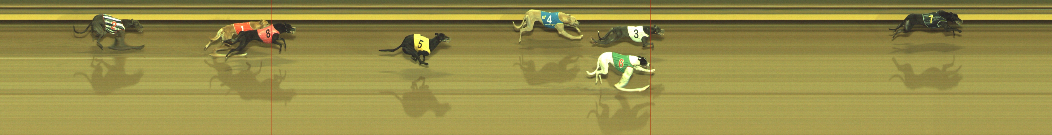 Photo finish for Geelong Race 5