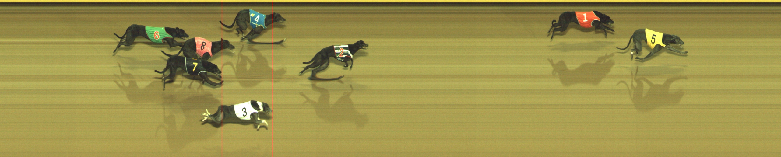 Photo finish for Geelong Race 7