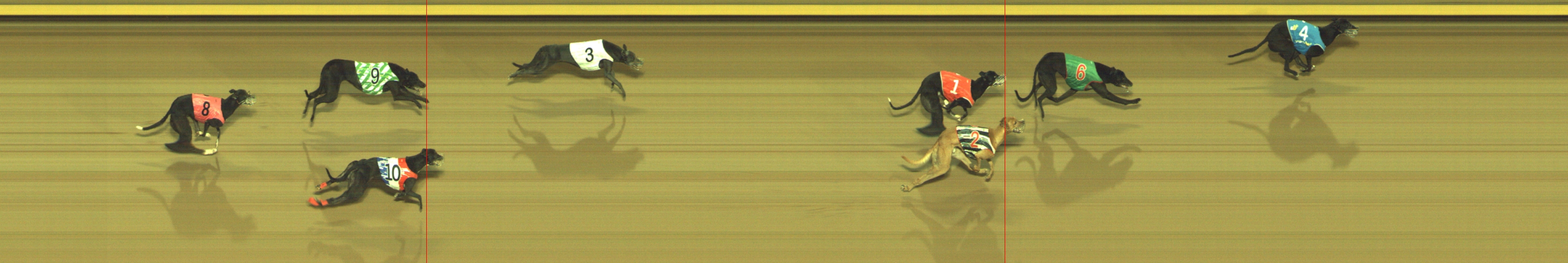 Photo finish for Geelong Race 8
