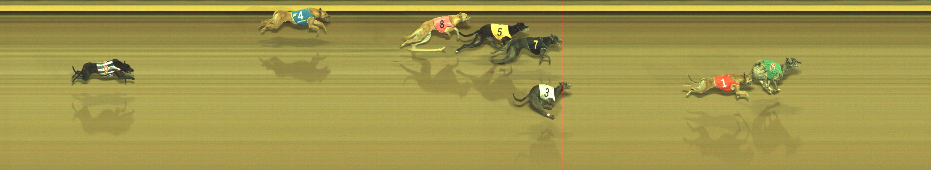 Photo finish for Geelong Race 9
