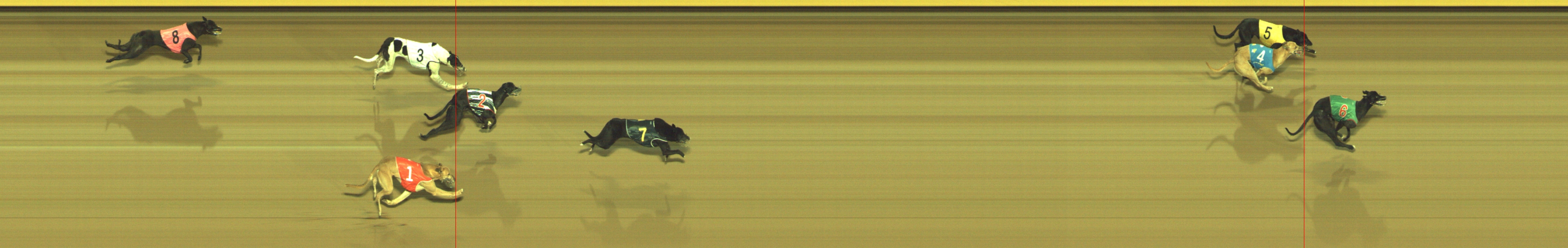 Photo finish for Geelong Race 10