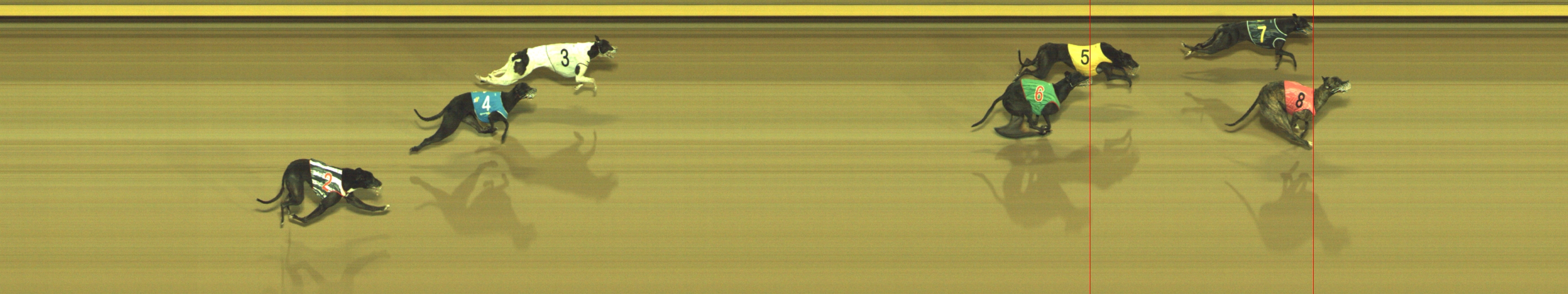 Photo finish for Geelong Race 11