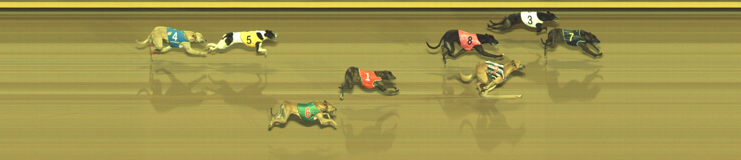 Photo finish for Geelong Race 12