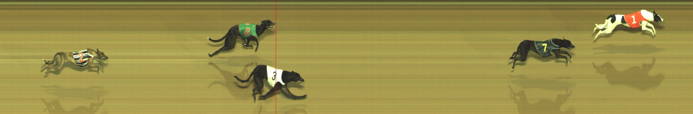 Photo finish for Geelong Race 1