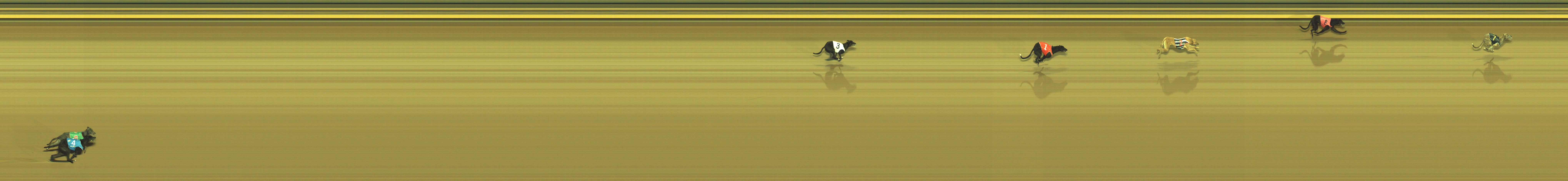 Photo finish for Geelong Race 2