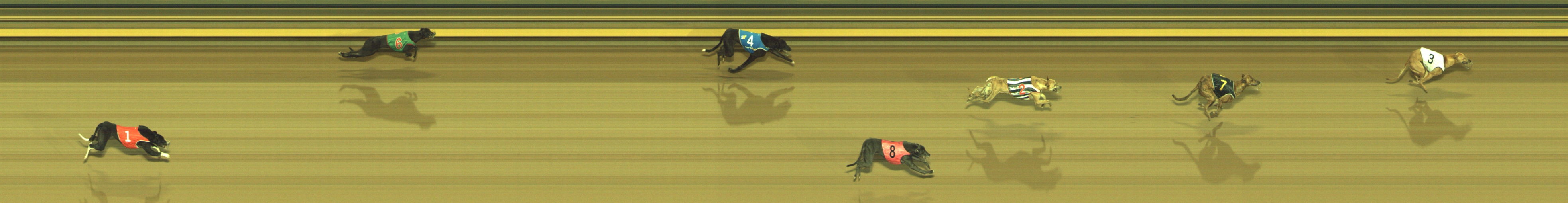 Photo finish for Geelong Race 3